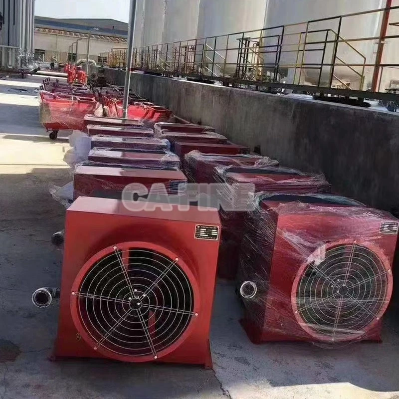 product-800-800